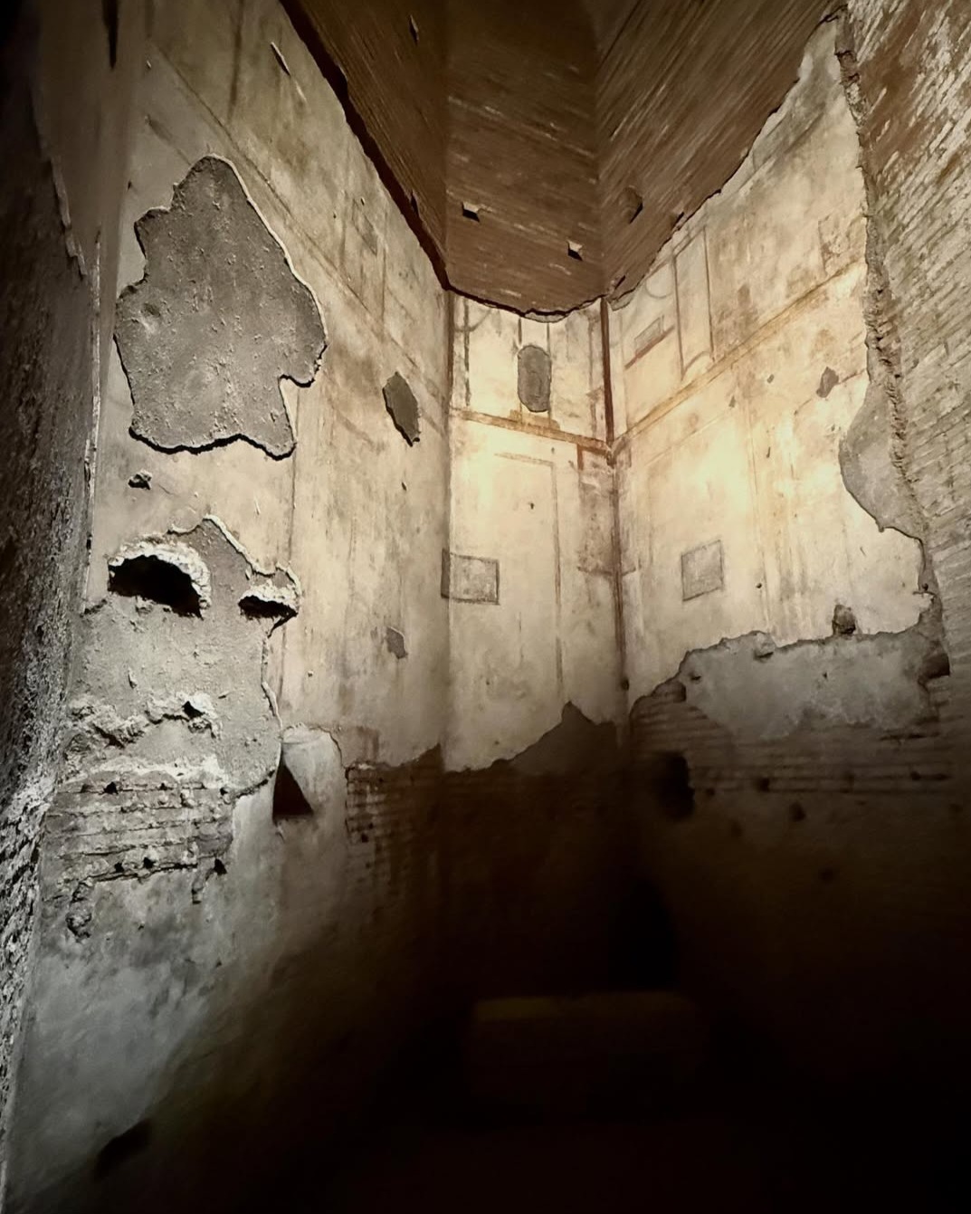 Ancient decoration preserved in the Domus Aurea