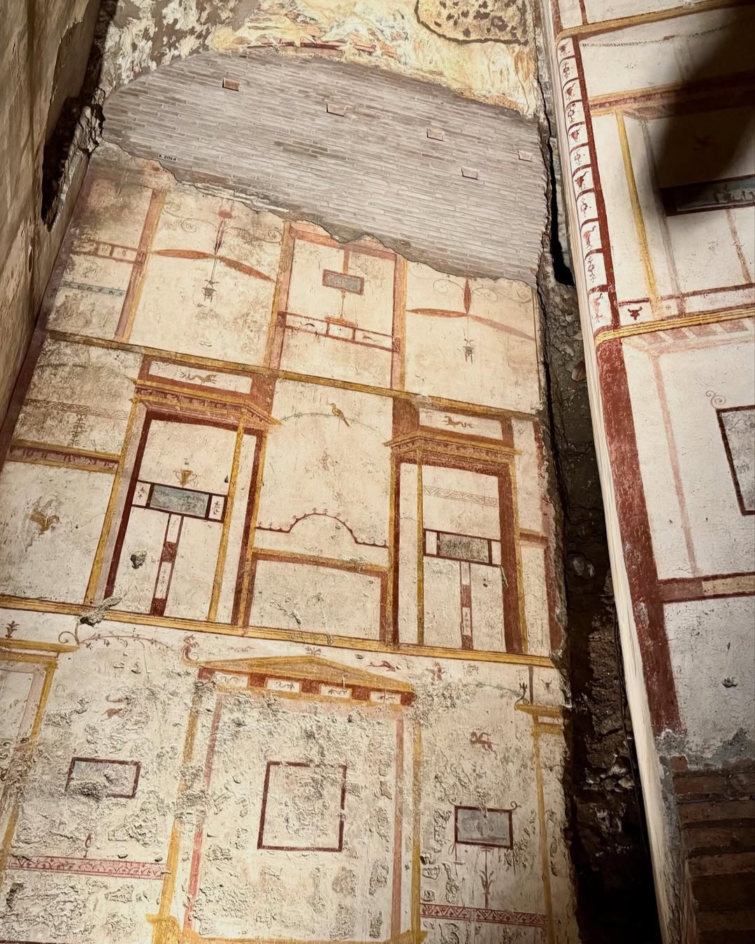 Painted architectural surface in the Domus Aurea