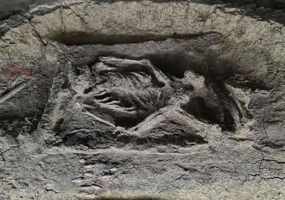 Archaeological context of the Portuense Necropolis in Rome
