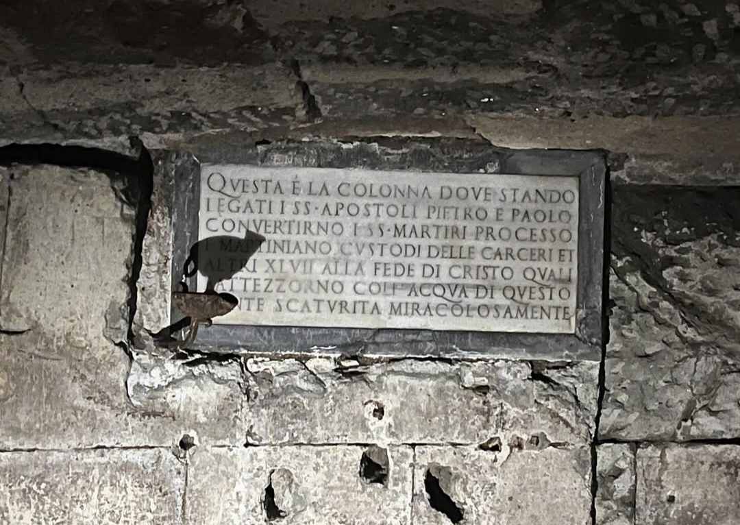 Carcer Tullianum archaeological site below San Giuseppe dei Falegnami