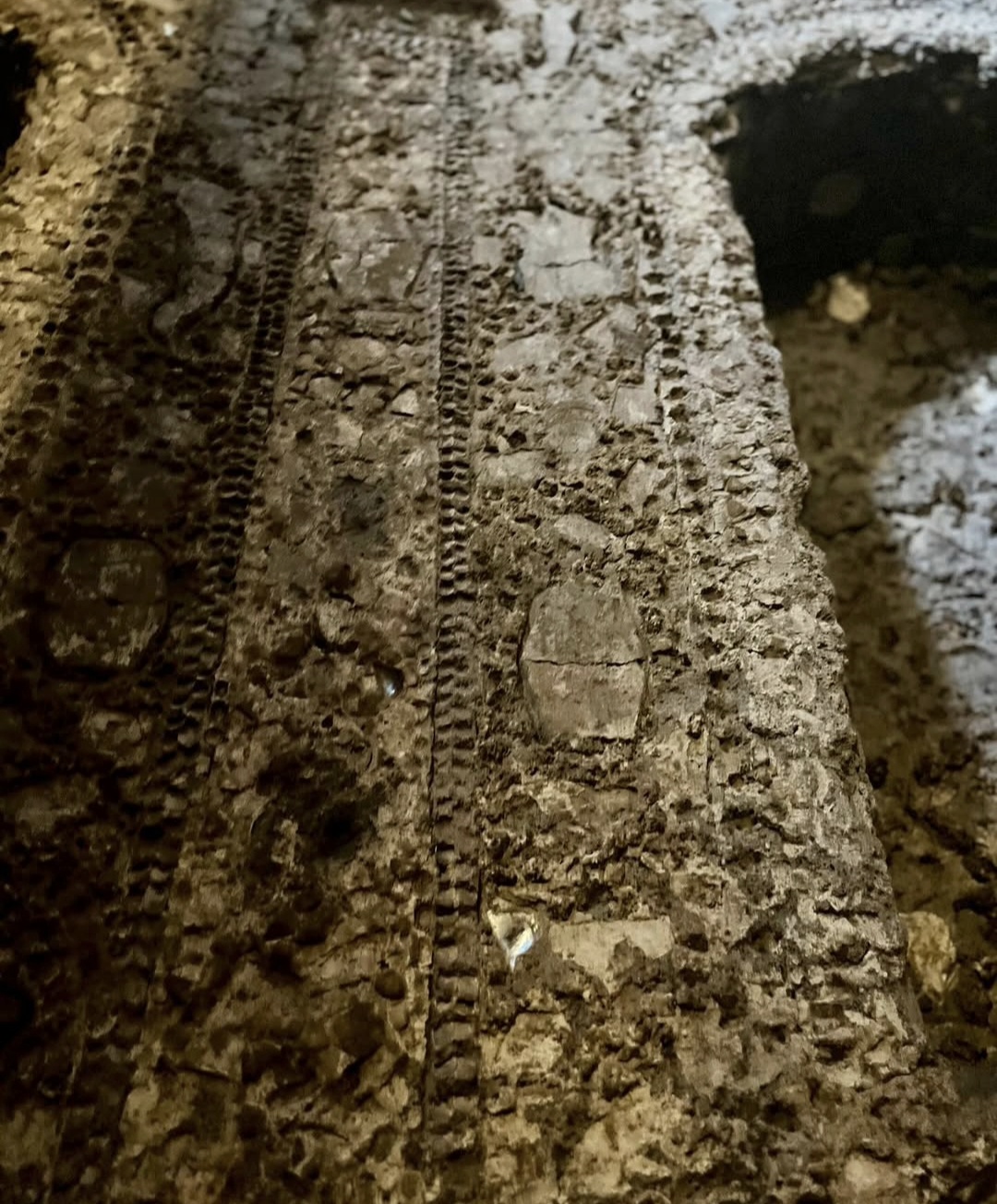 Ancient nymphaeum below Via degli Annibaldi