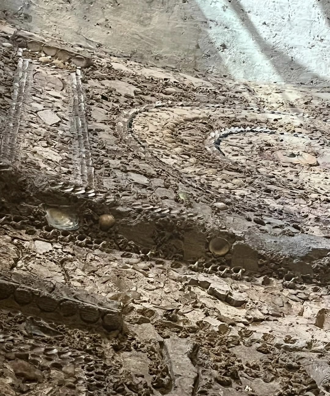 Ancient masonry inside the Nymphaeum of Via degli Annibaldi