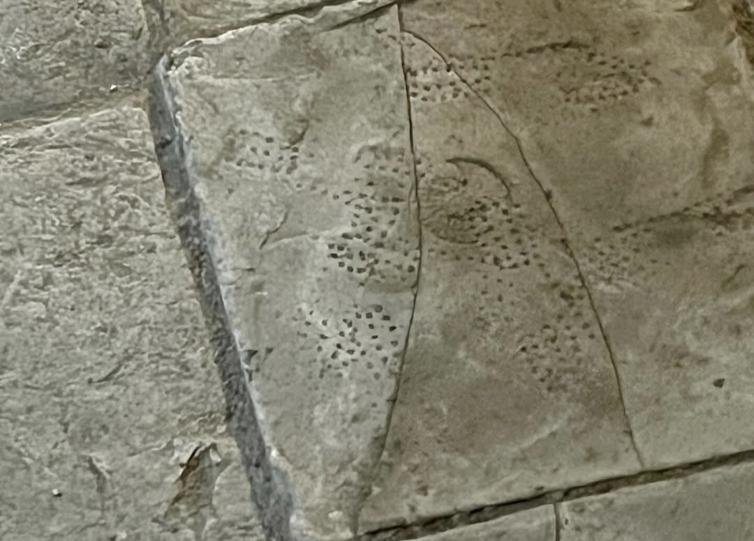 Archaeological remains at San Giovanni Addolorata