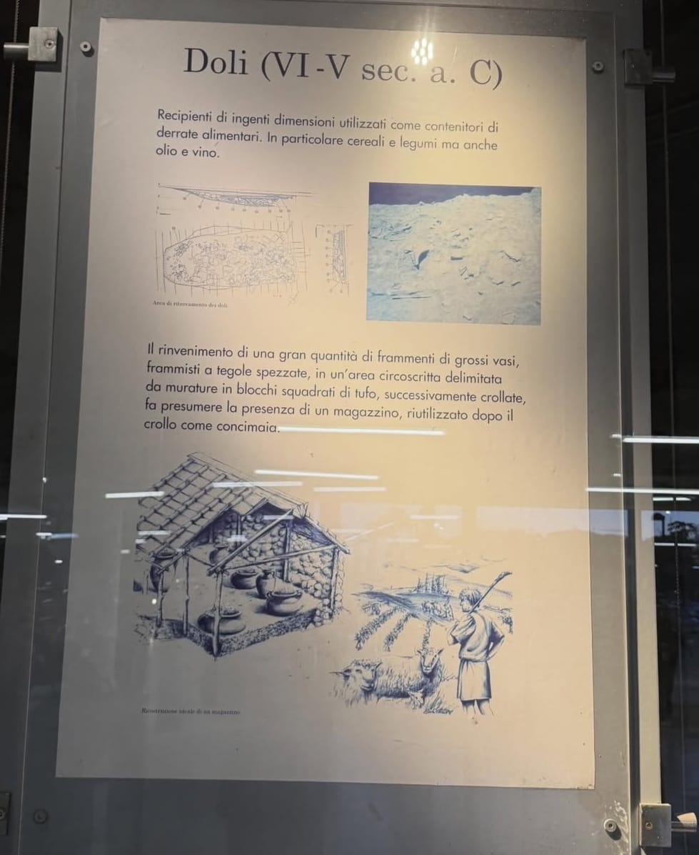 Archaeological information panel about dolia from the IKEA Anagnina excavation
